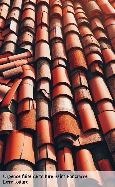 Service d'urgence fuite de toiture Saint Pancrasse 38660