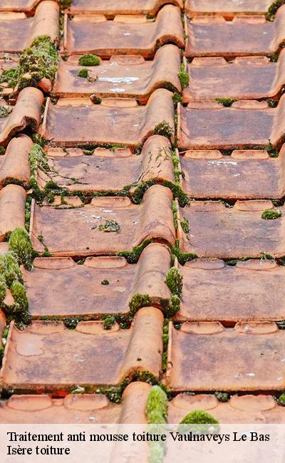 Traitement anti mousse toiture irreprochable Vaulnaveys Le Bas 38410