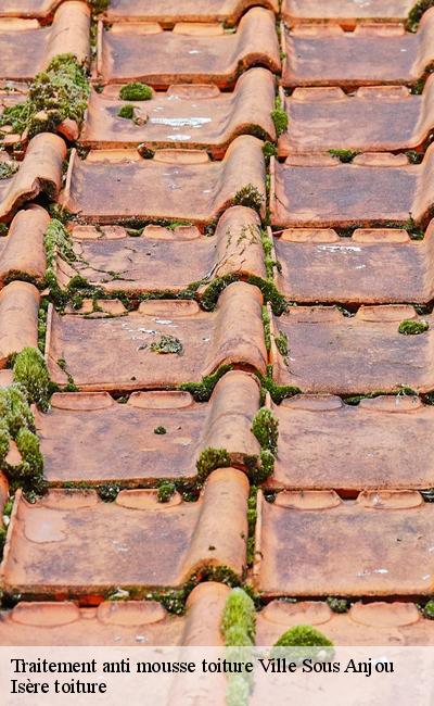 Traitement anti mousse toiture irreprochable Ville Sous Anjou 38150