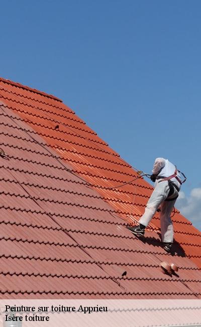 Expert en peinture sur toiture Apprieu 38140