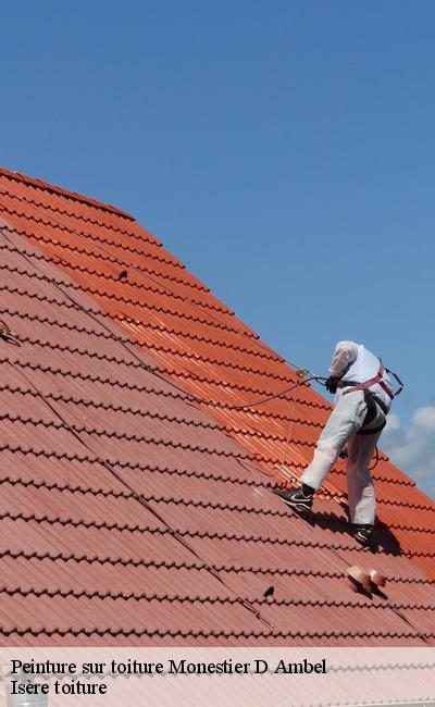 Expert en peinture sur toiture Monestier D Ambel 38970