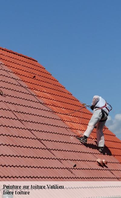 Expert en peinture sur toiture Vatilieu 38470
