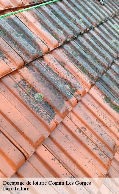 Entreprise decapage de toiture Cognin Les Gorges 38470
