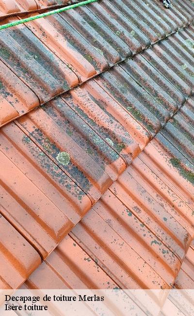 Entreprise decapage de toiture Merlas 38620
