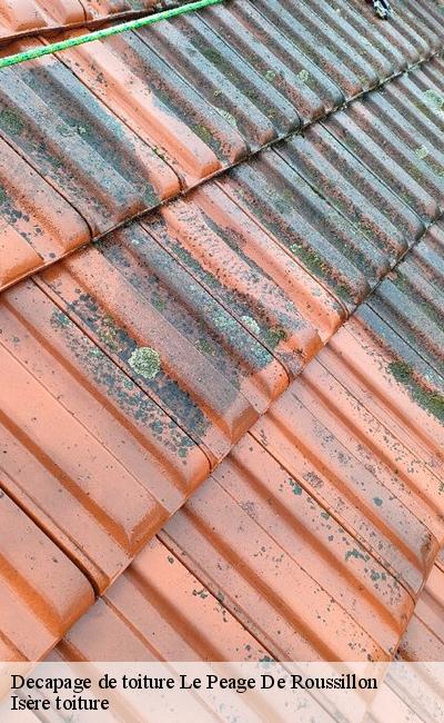 Entreprise decapage de toiture Le Peage De Roussillon 38550