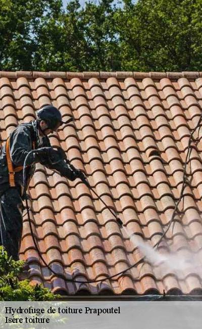 Spécialiste en hydrofuge de toiture Prapoutel 38190