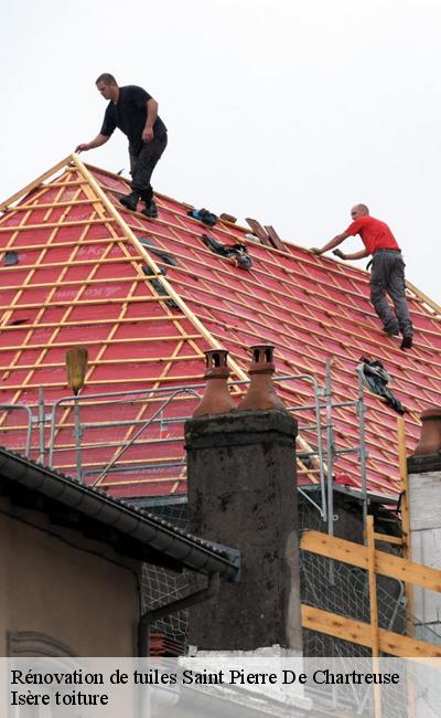 Artisan pour rénovation de tuiles Saint Pierre De Chartreuse 38380