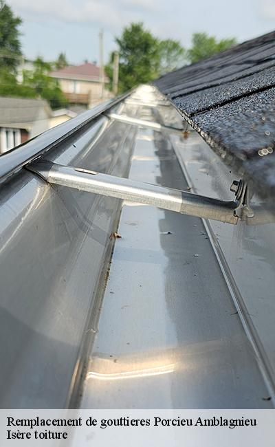 Prestations de remplacement de gouttières Porcieu Amblagnieu 38390