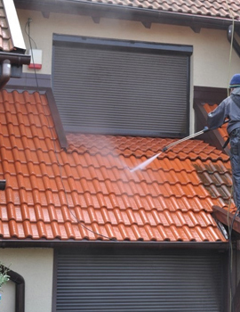 Nettoyage démoussage de toiture La Chapelle Du Bard 38580