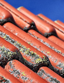 Nettoyage démoussage de toiture 38 Isère